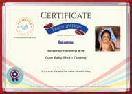 Locked Certificate Preview