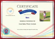 Locked Certificate Preview