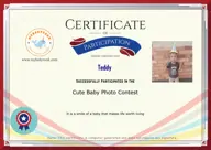 Locked Certificate Preview