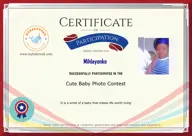 Locked Certificate Preview