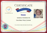 Locked Certificate Preview