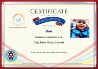 Locked Certificate Preview