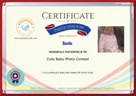 Locked Certificate Preview