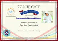 Locked Certificate Preview