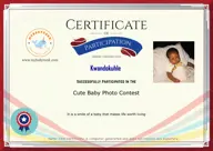 Locked Certificate Preview