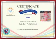 Locked Certificate Preview