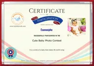Locked Certificate Preview