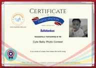 Locked Certificate Preview