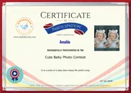 Locked Certificate Preview