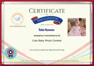 Locked Certificate Preview