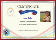 Locked Certificate Preview