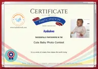 Locked Certificate Preview