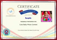 Locked Certificate Preview