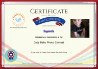 Locked Certificate Preview