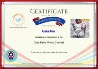 Locked Certificate Preview