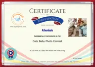 Locked Certificate Preview