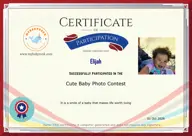Locked Certificate Preview