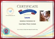 Locked Certificate Preview