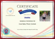 Locked Certificate Preview