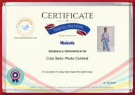 Locked Certificate Preview