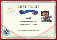 Locked Certificate Preview