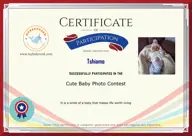 Locked Certificate Preview