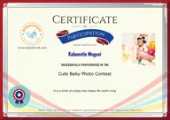 Locked Certificate Preview