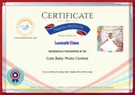 Locked Certificate Preview