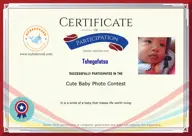 Locked Certificate Preview