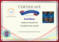 Locked Certificate Preview