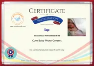 Locked Certificate Preview