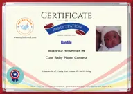 Locked Certificate Preview