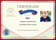 Locked Certificate Preview