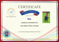 Locked Certificate Preview