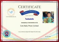 Locked Certificate Preview