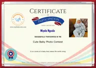 Locked Certificate Preview