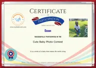 Locked Certificate Preview