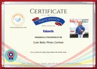 Locked Certificate Preview