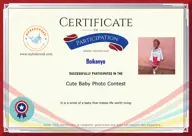 Locked Certificate Preview