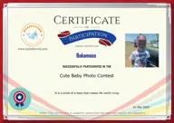 Locked Certificate Preview