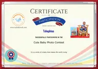 Locked Certificate Preview