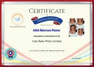 Locked Certificate Preview