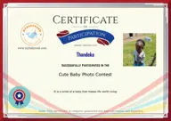 Locked Certificate Preview