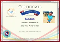 Locked Certificate Preview