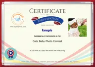 Locked Certificate Preview