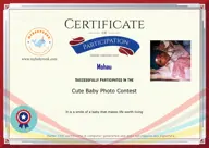 Locked Certificate Preview