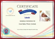 Locked Certificate Preview