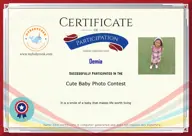 Locked Certificate Preview