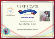 Locked Certificate Preview