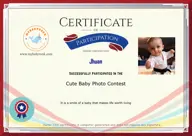 Locked Certificate Preview